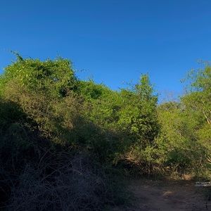 Meet your Posher, Tony